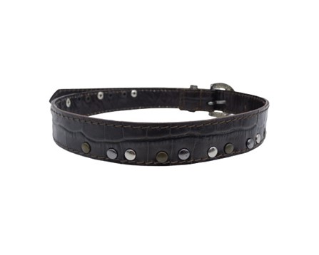 Cintura in pelle con fascia di borchie