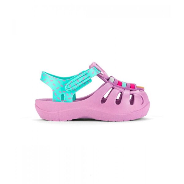 Ragnetto mare con gelatini