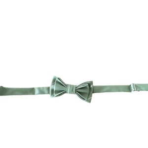 Papillon a righe