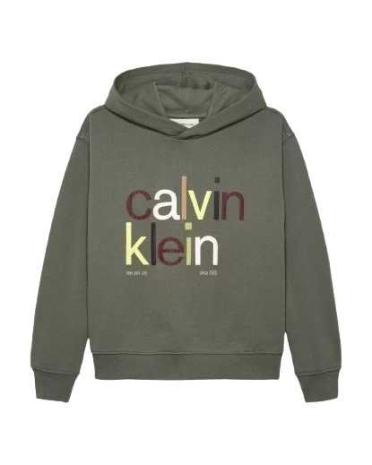 Felpa con cappuccio e logo multicolor