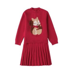 Completoin maglia con scoiattolo e gonna plissettata