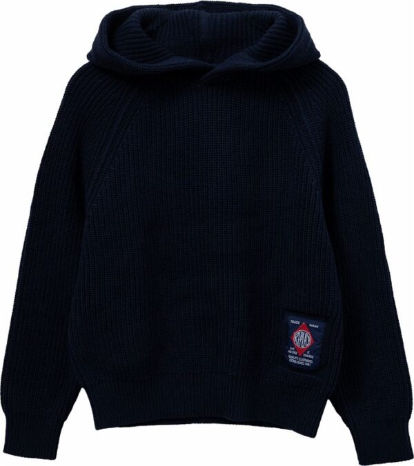 2B486EAE3111B47A0B08E3A3AD725695_ Maglione con cappuccio in cotone e cashmere