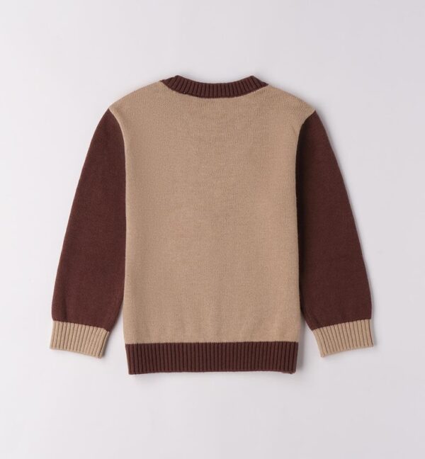 Maglione bicolor con orso