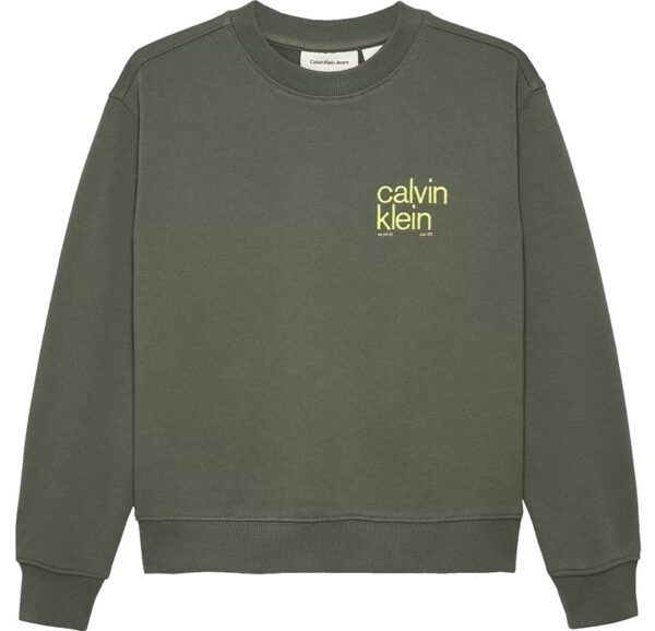 Felpa con stampa sul retro