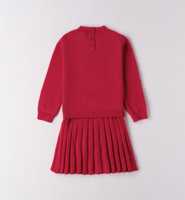 Completoin maglia con scoiattolo e gonna plissettata