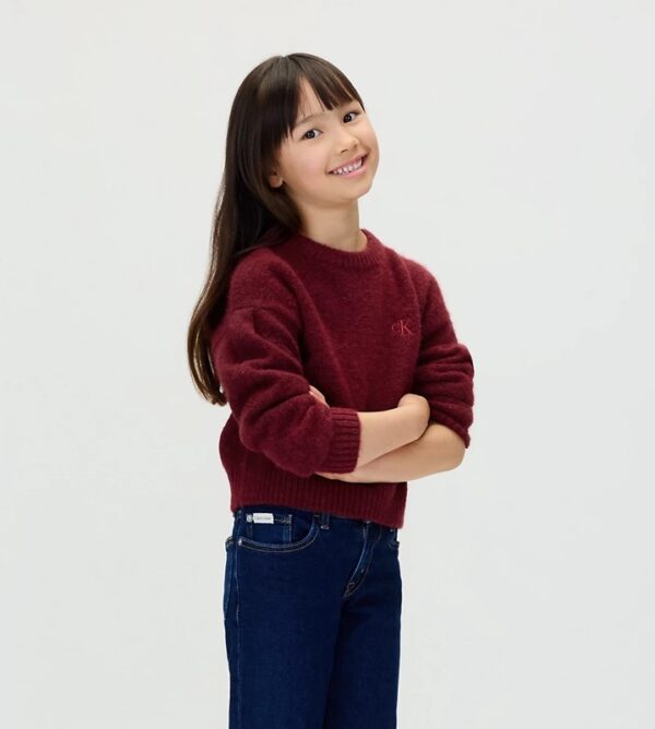 97936A79B8EE656AE1B4F6E76BF2529A_ Maglione fluffy con logo