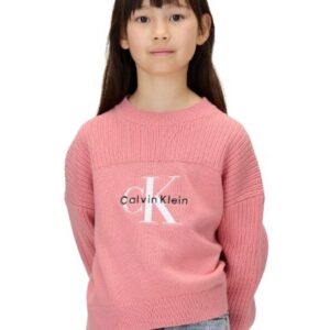 EE56DD0F7EE7662C73700C0187E49C66_ Maglione in cotone con ricamo logo