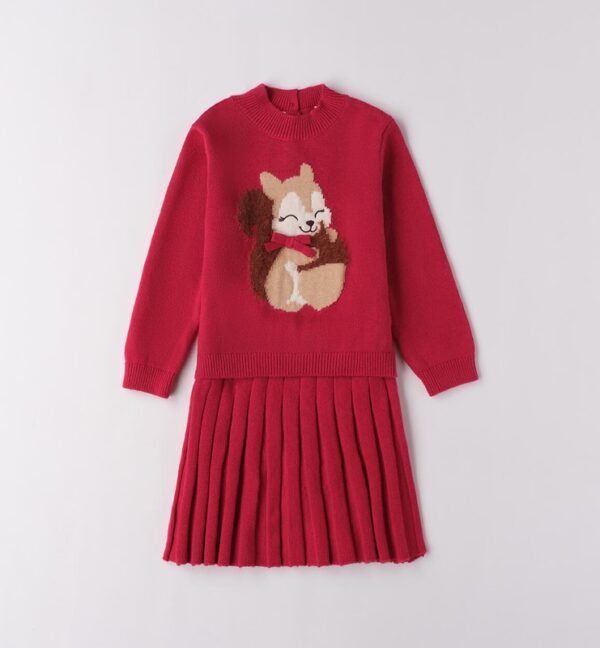 Completoin maglia con scoiattolo e gonna plissettata