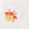 T-shirt mezza manica con fenicotteri