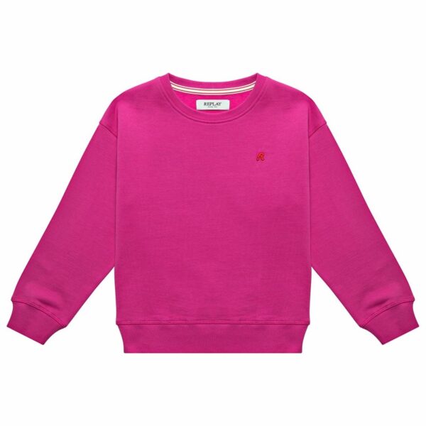 78349BD9BCDED52A51CFE72BE47FAAB6_ Felpa girocollo in cotone con ricamo logo